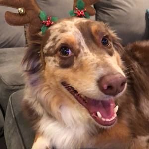 Meet your Posher, Cameron